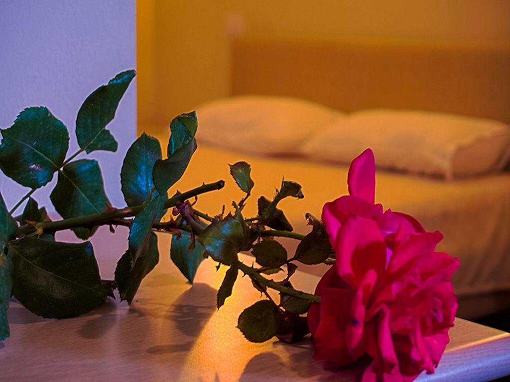 Kriva Resort Elbasan Dış mekan fotoğraf